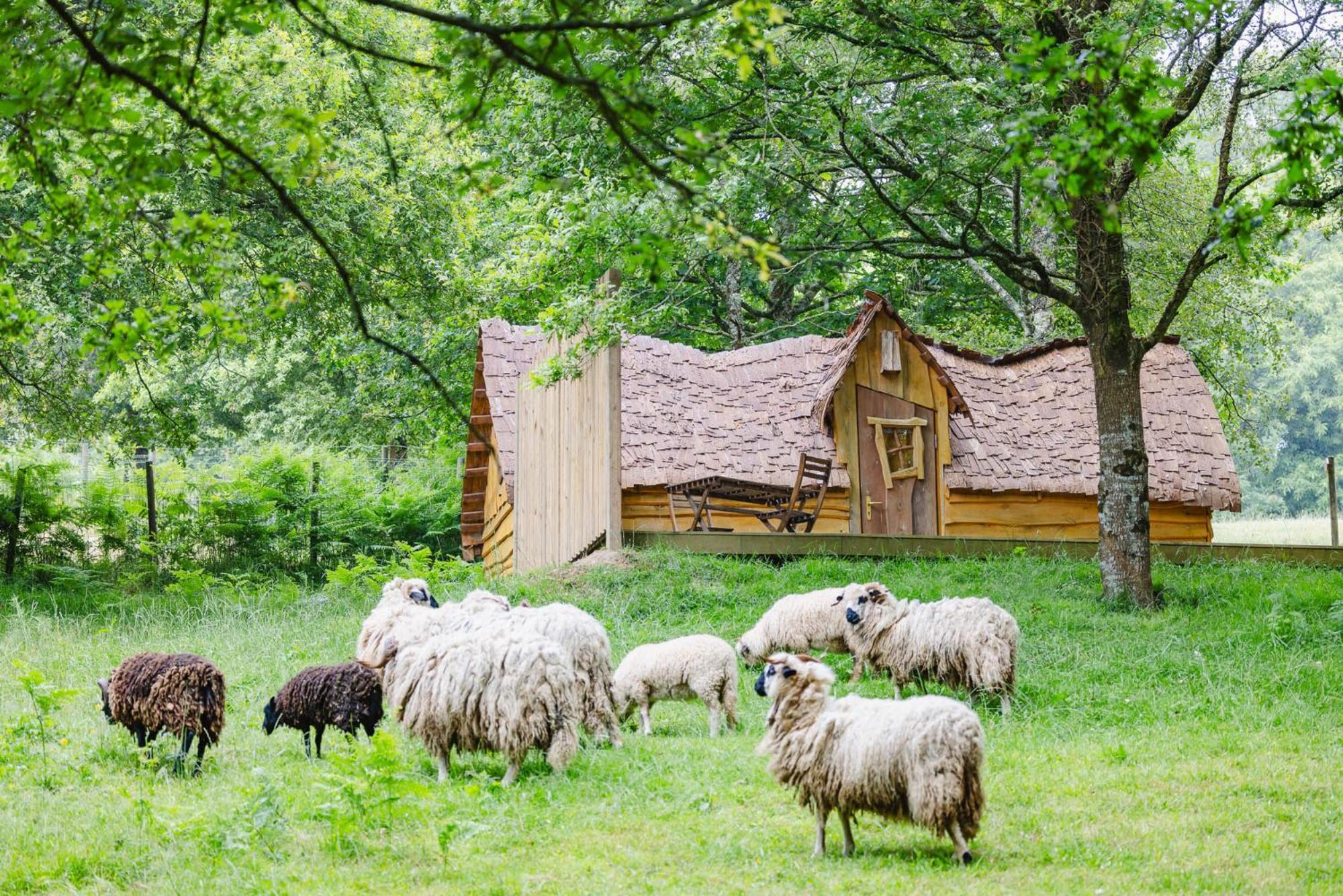 Lodge Koadou *